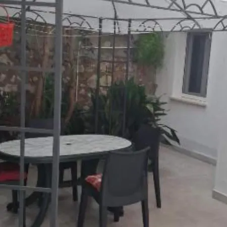 Sineva * Šibenik